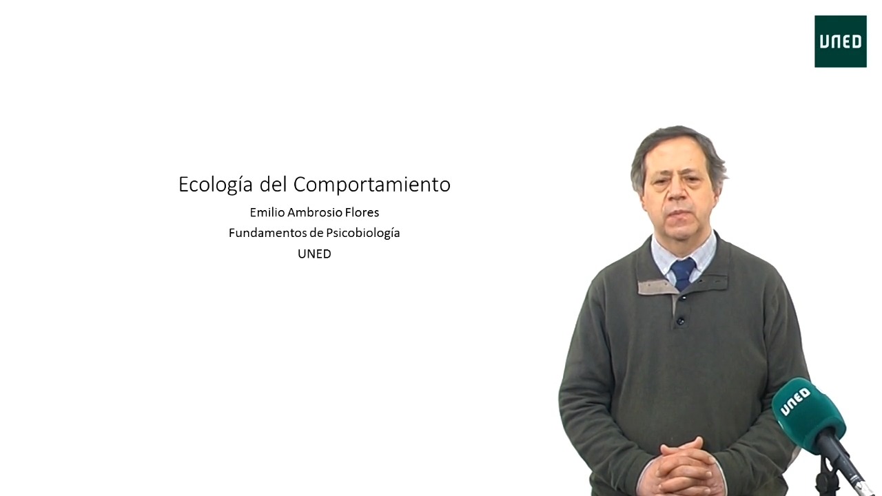 Psicobiología: Tema 5.   Ecología del comportamiento