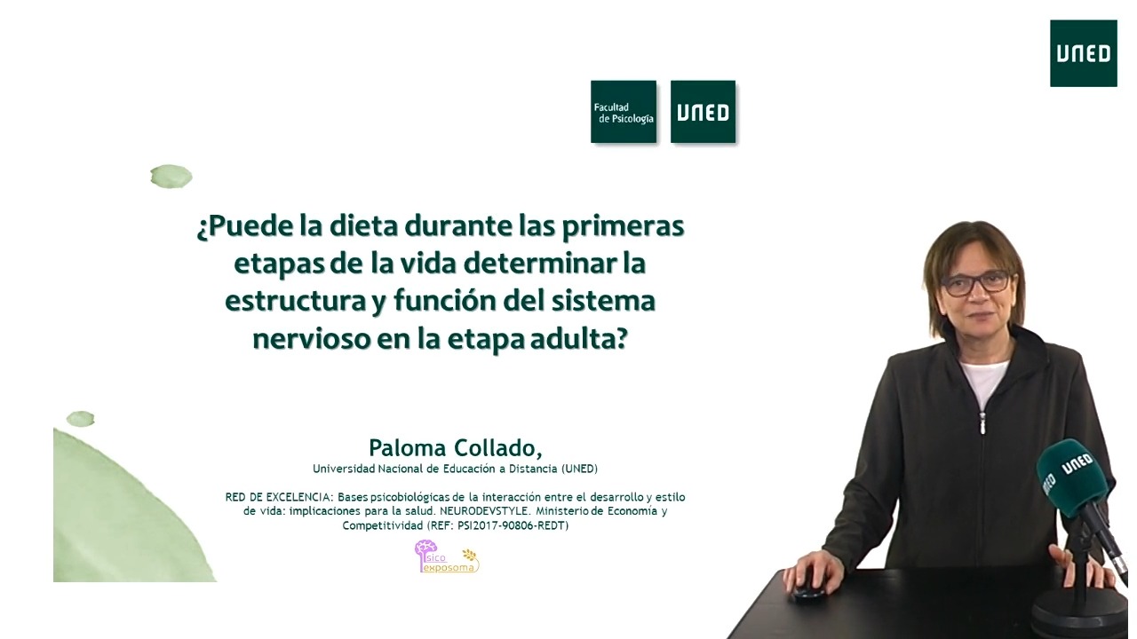 ¿Puede la dieta durante las primeras etapas de la vida determinar la estructura y función del sistema nervioso en la etapa adulta?  