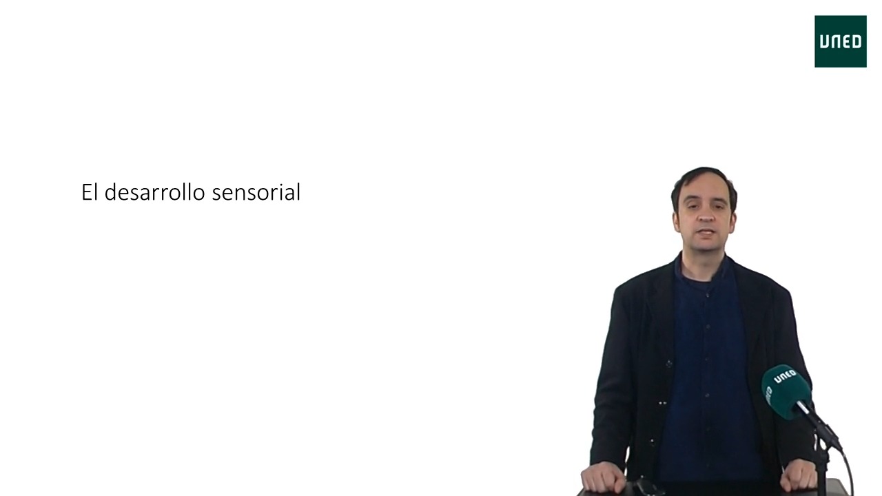 El desarrollo sensorial 