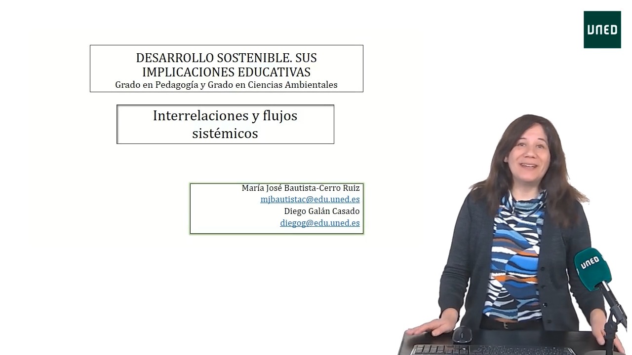 Interrelaciones y flujos sistémicos