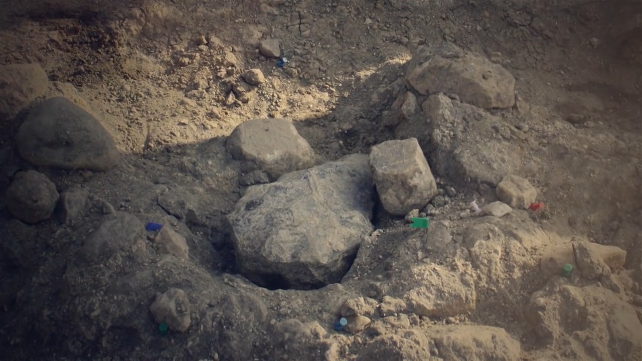 Olduvai, La Cuna de la Humanidad