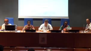 Mesa redonda: Turno de preguntas
