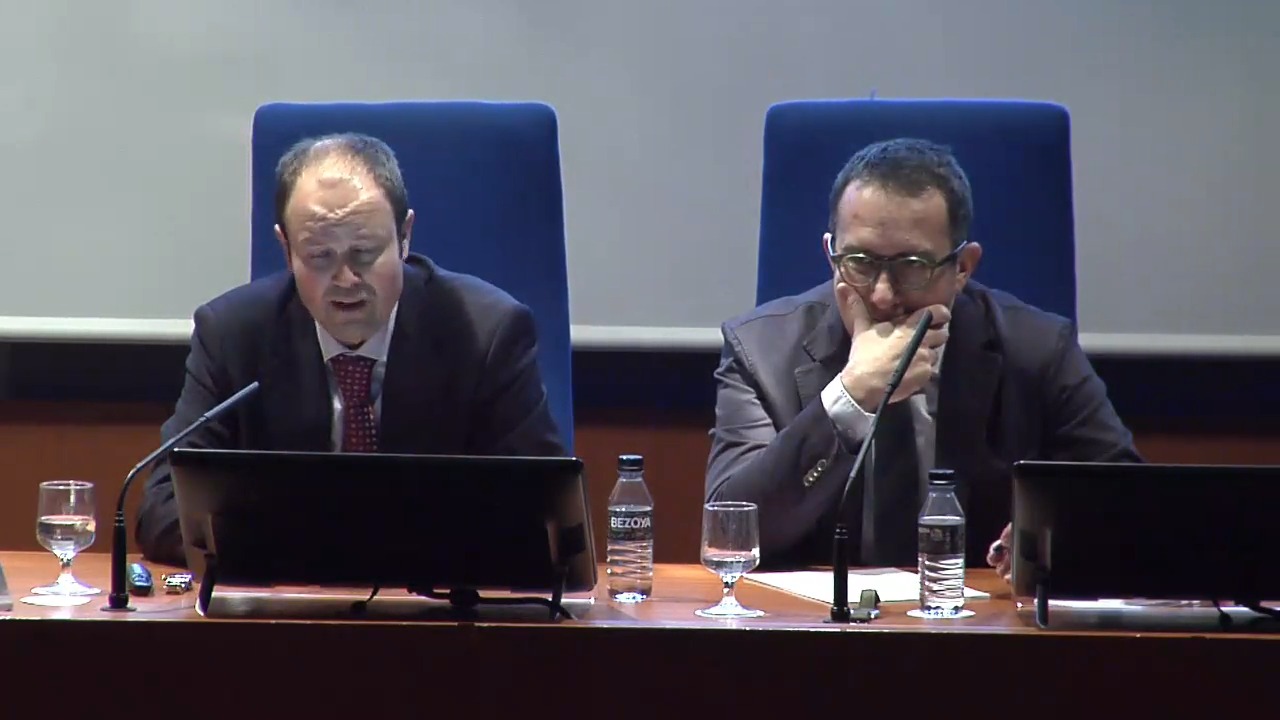 El modelo español de tipificación de los delitos de odio