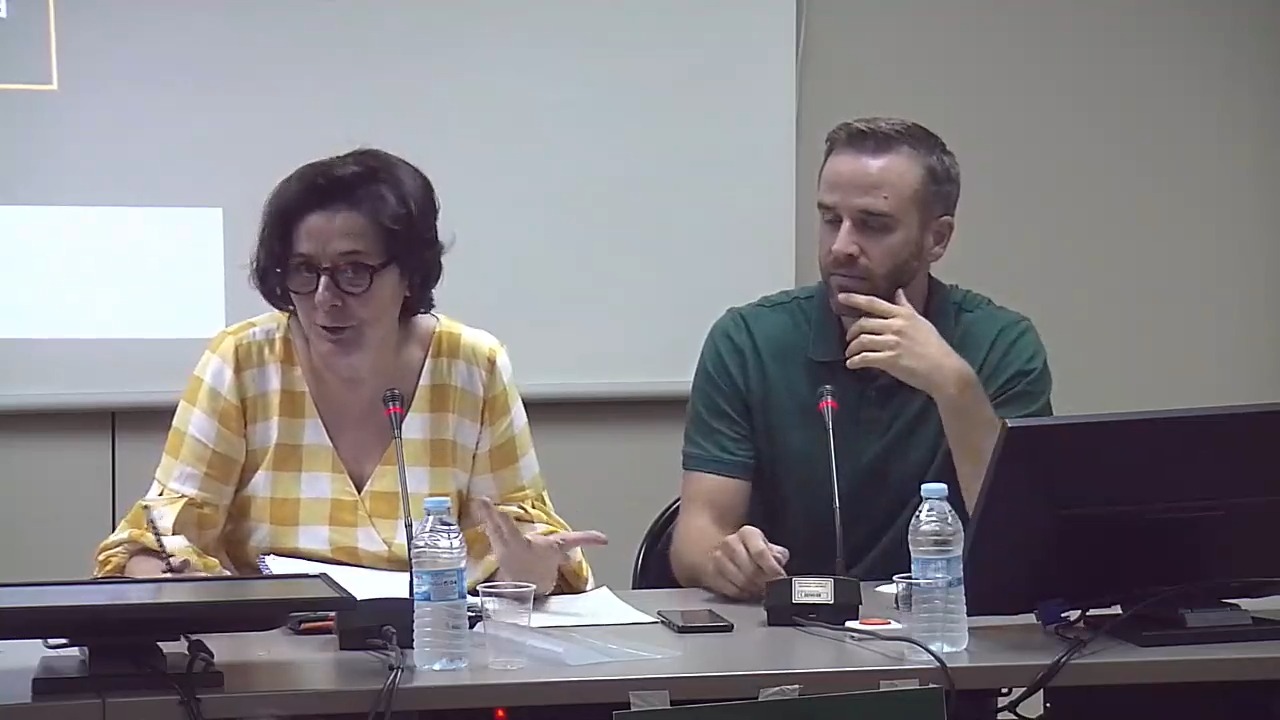 Prácticas de la subjetividad en las artes contemporáneas. Recepción crítica y ficciones de la identidad desde la perspectiva de género
