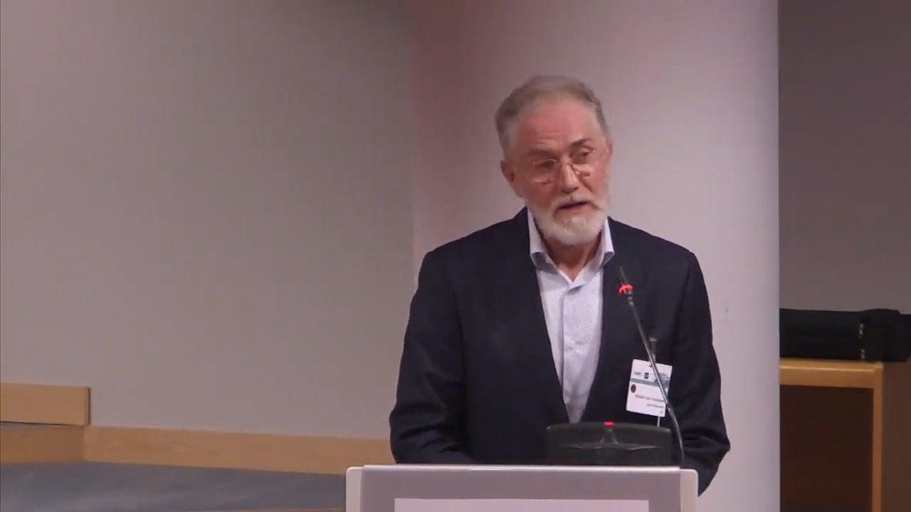 Video in online education: what do you see?