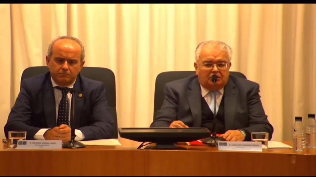 Las garantías en los procesos constitucionales