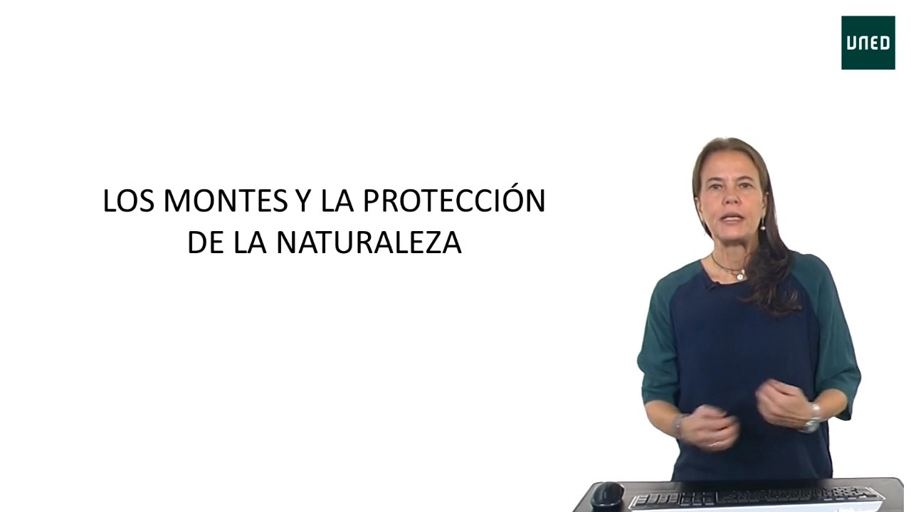 Legislación de montes.  Conceptos básicos