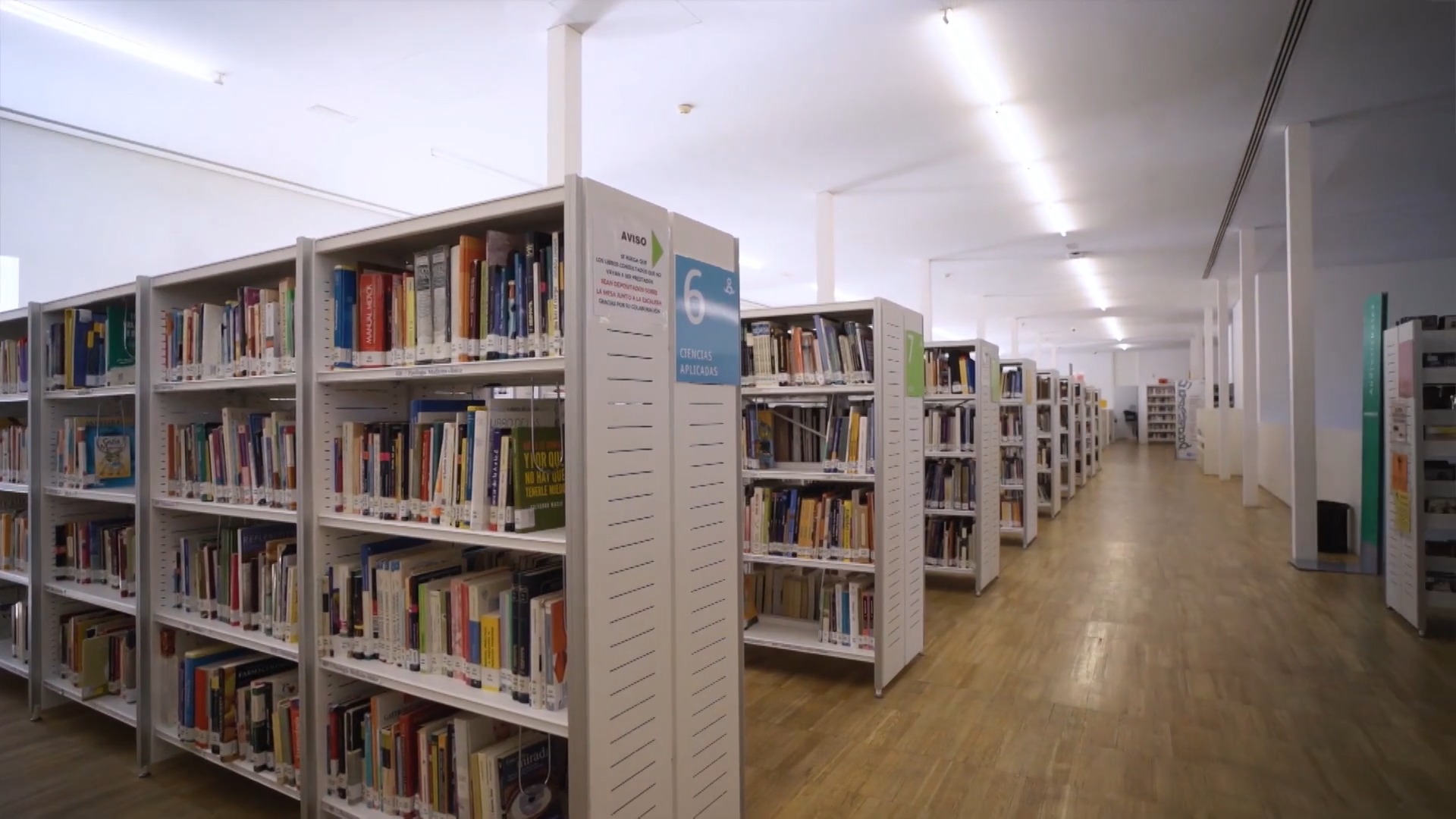 Arte y Cultura por los Derechos Humanos. Bibliotecas y Archivos: enclave de derechos
