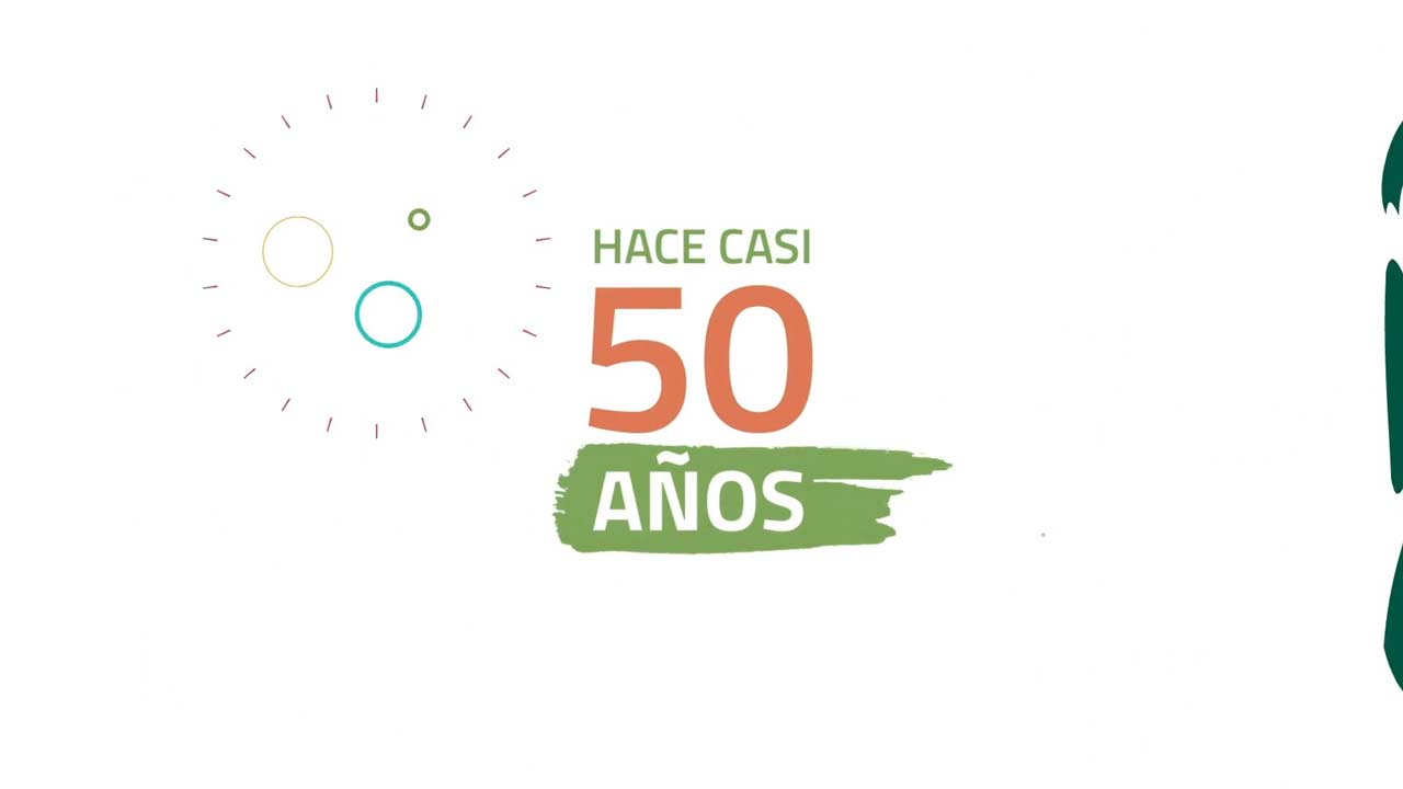 Memoria Académica del Curso 2019-2020