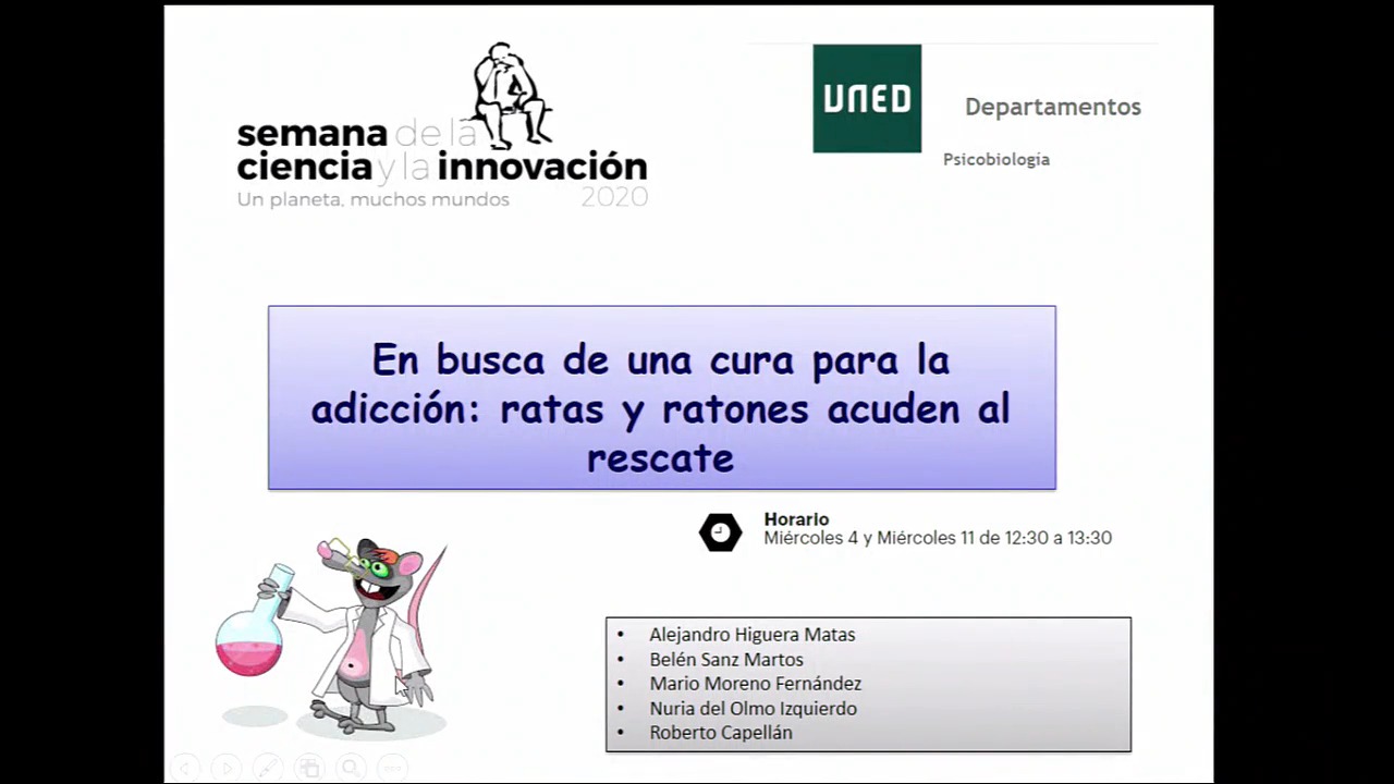 En busca de una cura para la adicción: ratas y ratones acuden al rescate