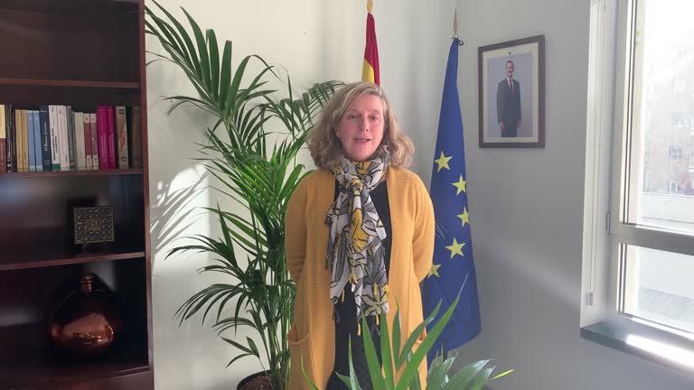 2. Intervención de la Directora de la Escuela Internacional de Doctorado, Cristina González Gaya