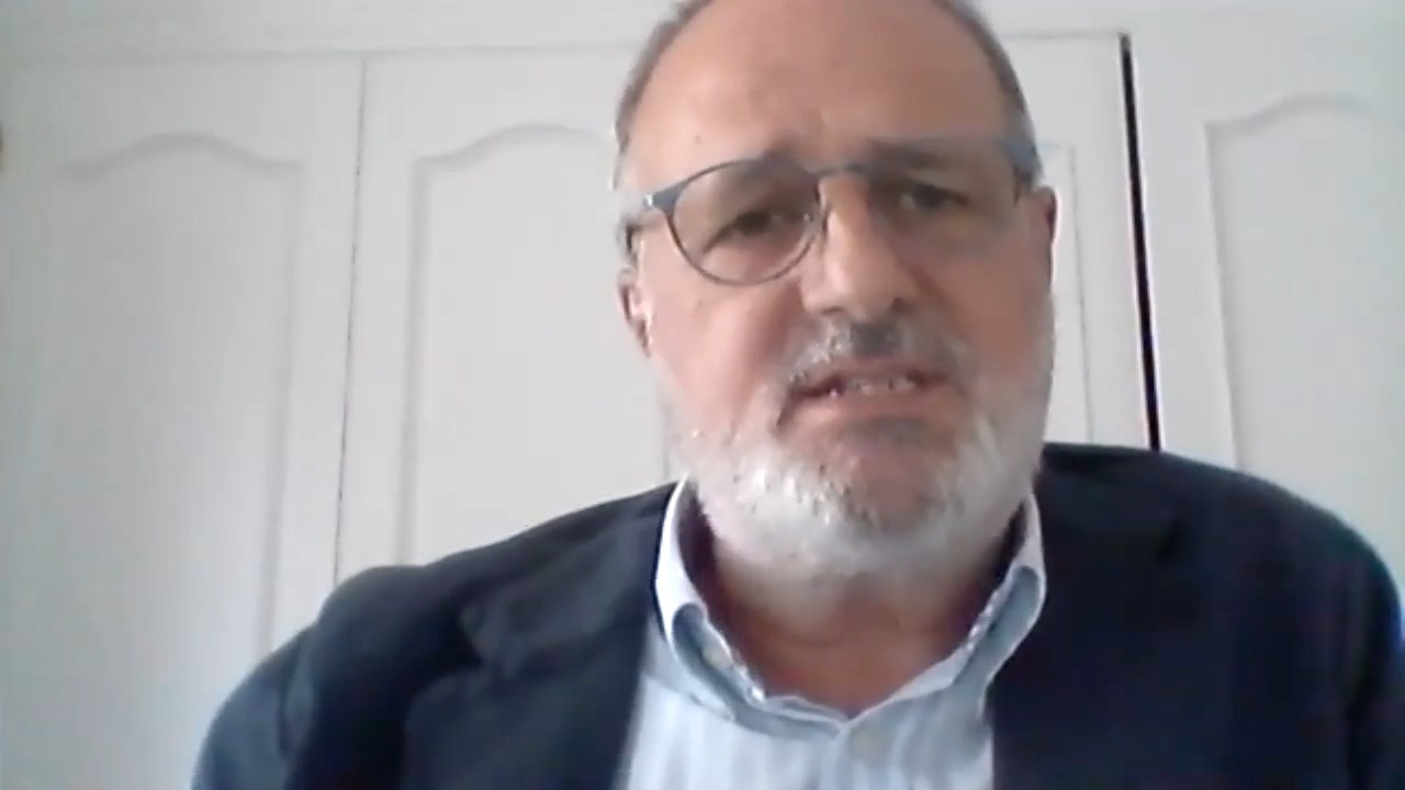 La protección penal de los símbolos nacionales y la libertad de expresión