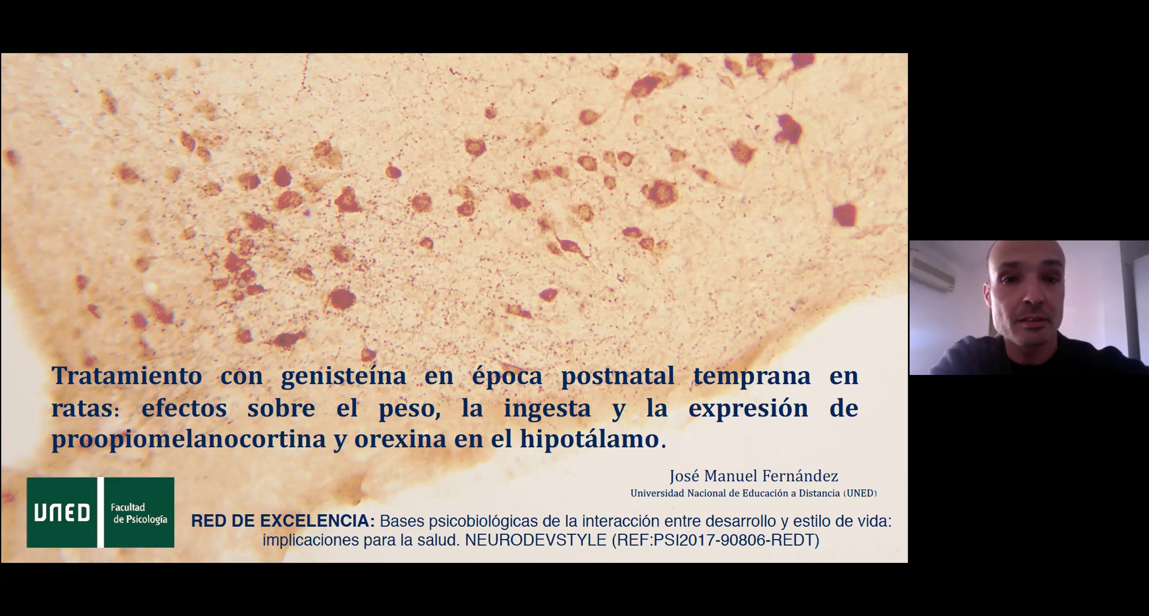 Tratamiento con genisteína en época postnatal temprana en ratas: efectos sobre el peso, la ingesta y la expresión de proopiomelanocortina y orexina en el hipotálamo