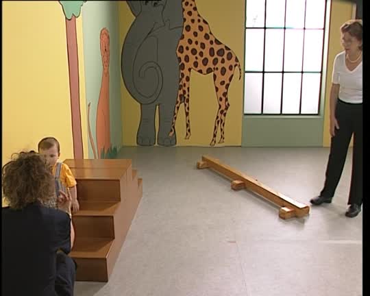 Prácticas de Evaluación Psicológica. Escalas Bayley