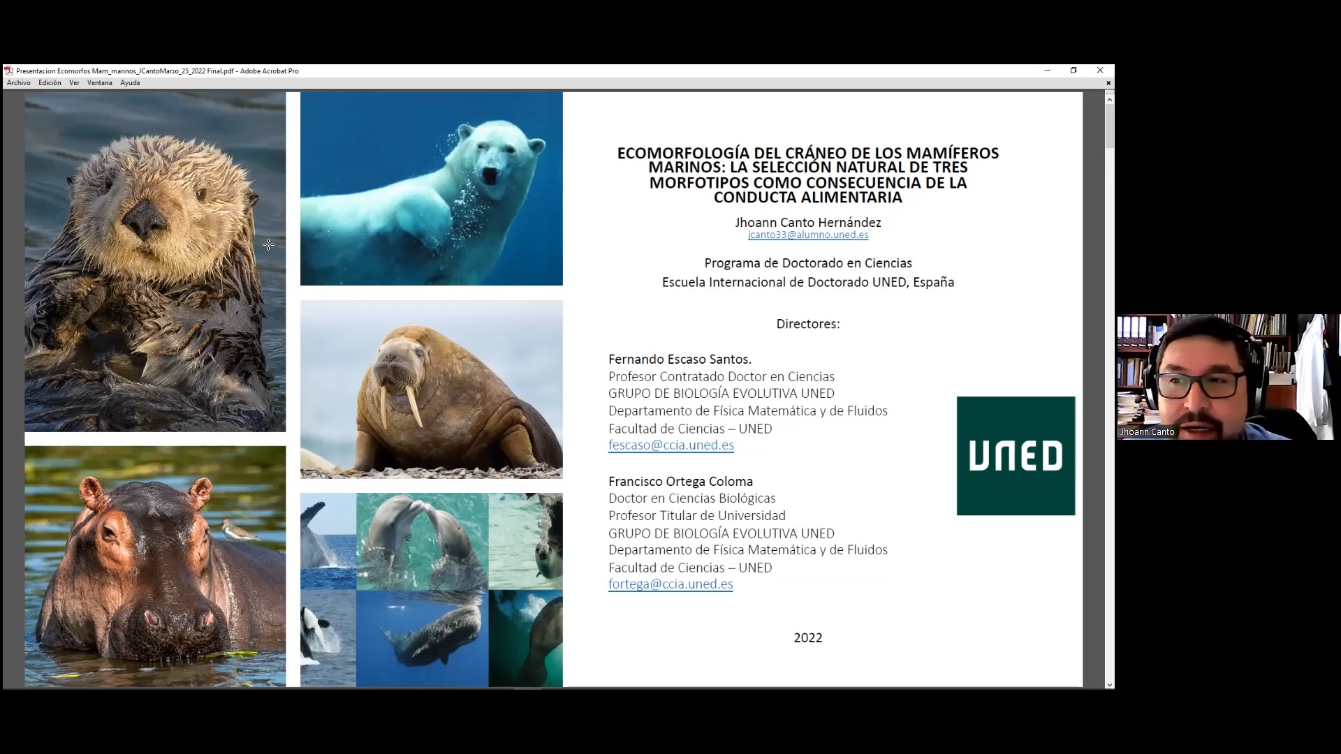 Ecomorfología del cráneo de los mamíferos marinos