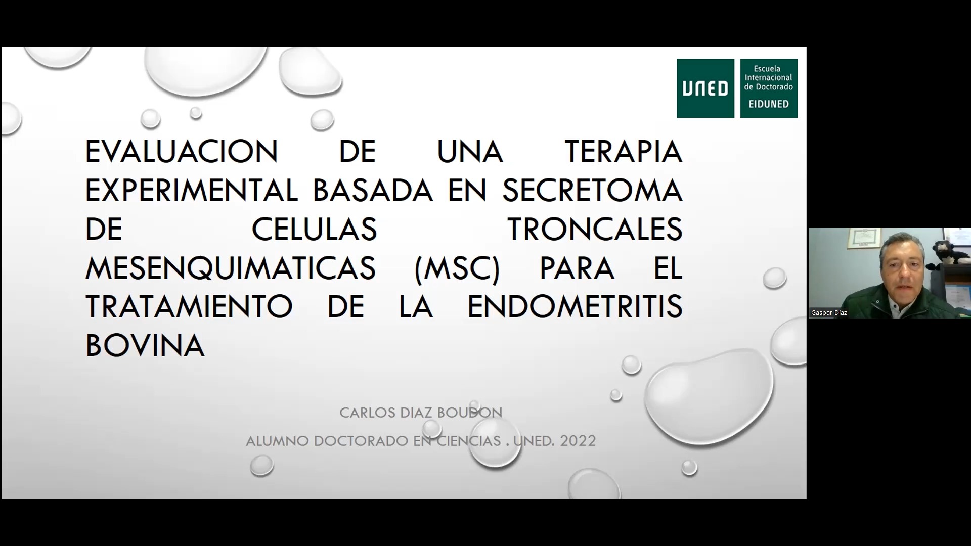 Evaluación de una terapia experimental basada en secretoma de células troncales mesenquimáticas (MSC) para el tratamiento de la endometritis bovina