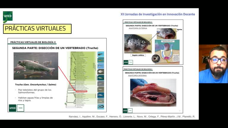 091. Línea 6. Estudio anatómico y fisiológico de moluscos cefalópodos a través de disecciones virtuales