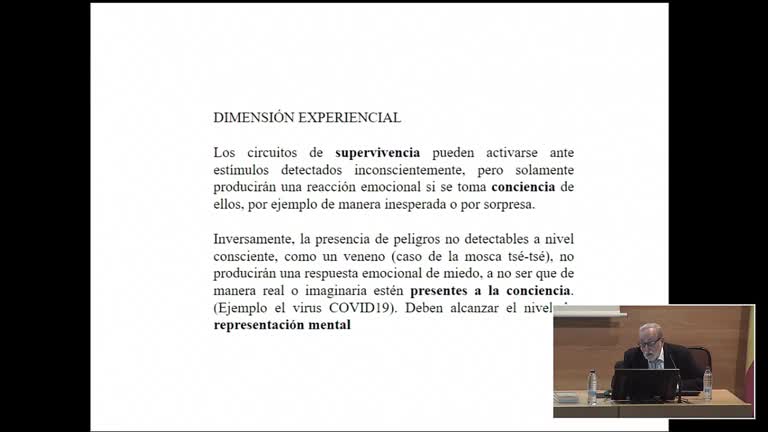 Trabajar la regulación emocional en Psicoterapia