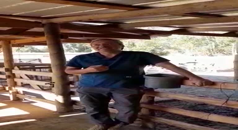Evaluación de una terapia experimental basada en secretoma de células troncales mesenquimáticas (MSC) para el tratamiento de la endometritis bovina