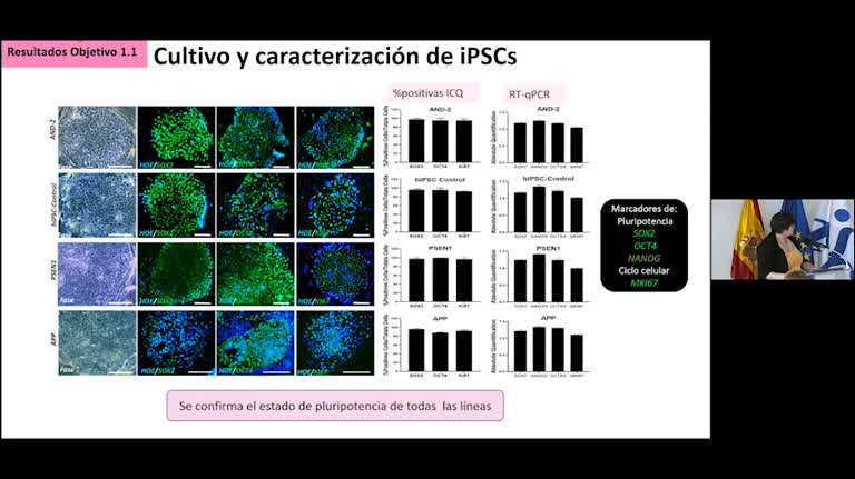 Generación y Caracterización de los Modelos celulares de la enfermedad de Alzheimer