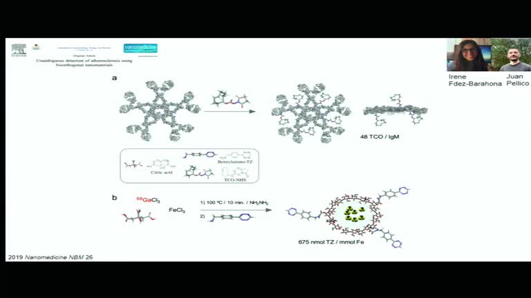 La Química de la imagen molecular y la nanomedicina