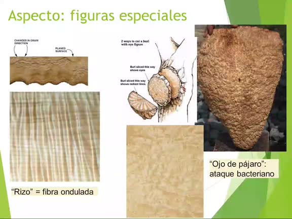 Toca madera