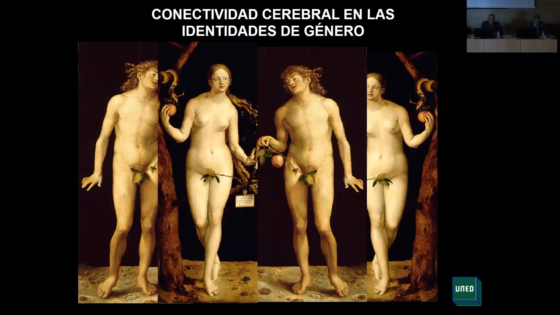 Brain connectivity and gender identities