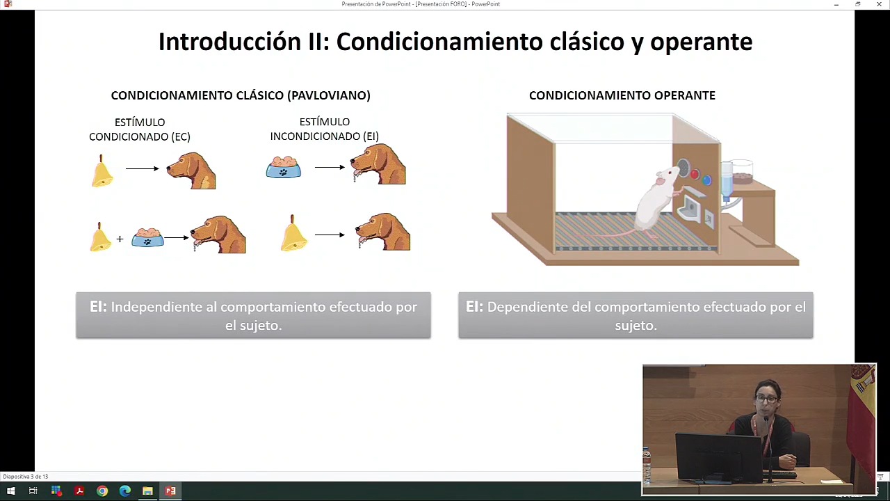 P4.3. Cambios en los niveles de receptores de dopamina y glutamato en presencia de un estímulo condicionado con la administración de cocaína activa y pasiva