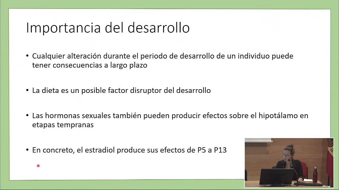 P6.3. Efectos del tratamiento con estradiol sobre la expresión de neuropéptidos hipotalámicos en crías de ratas hipernutridas