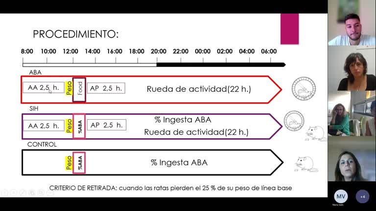 L4.1. Carrera anticipatoria y postprandial en los modelos animales de anorexia basada en actividad e hiperactividad inducida por inanición