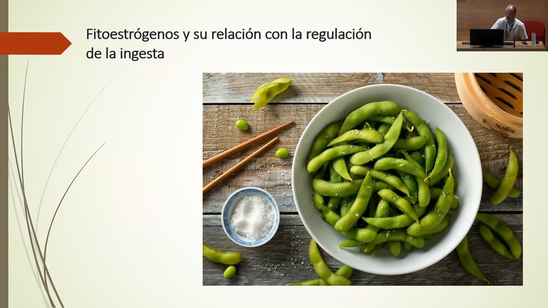 Fitoestrógenos y su relación con la regulación de la ingesta