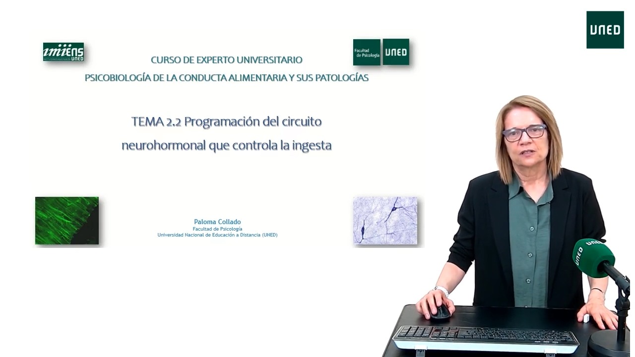 Programación del circuito neurohormonal que regula la ingesta