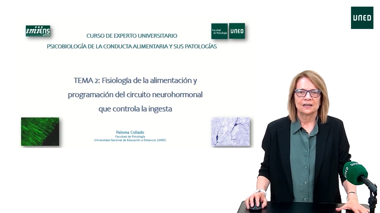  Fisiología de la alimentación