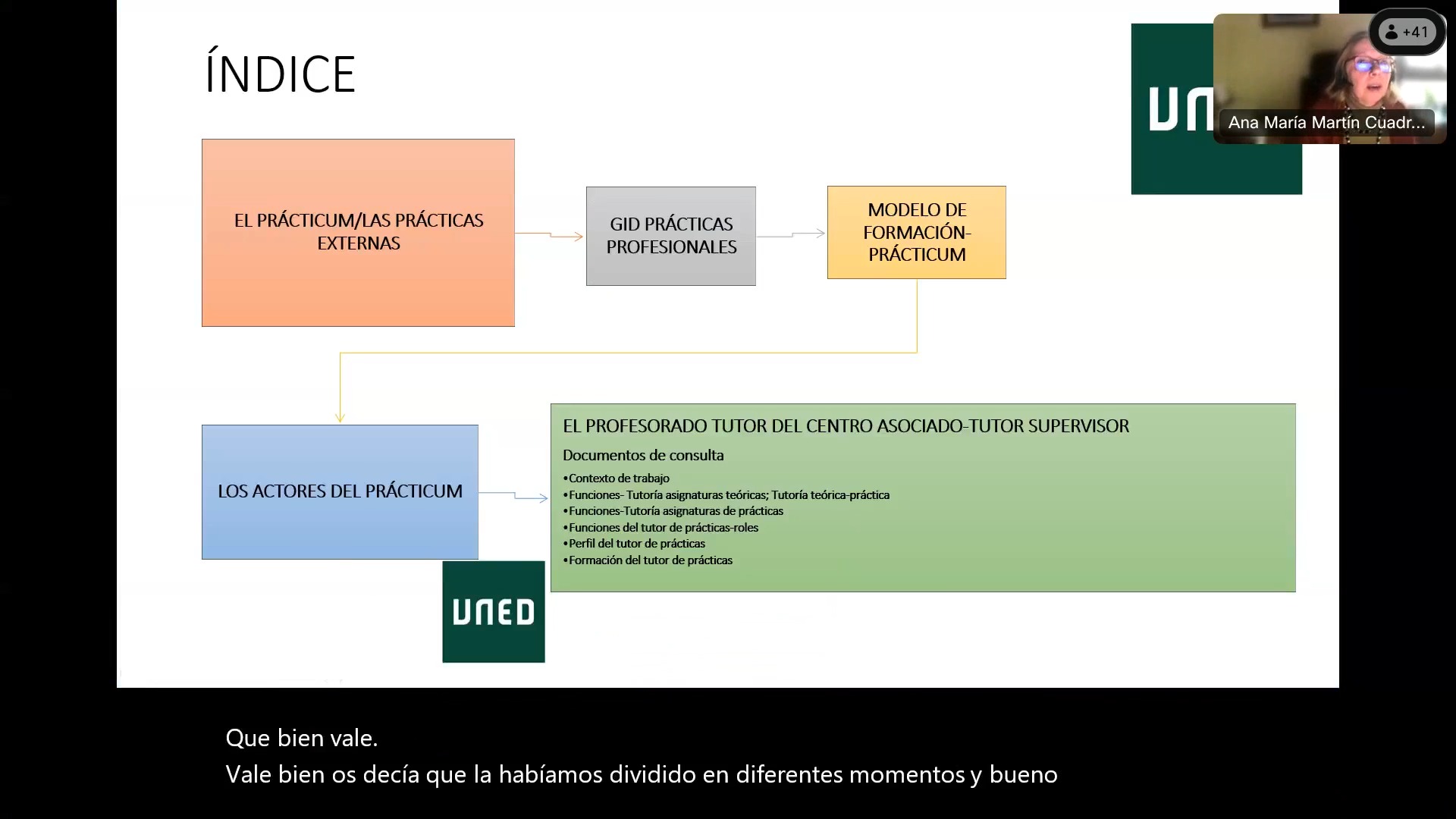 La tutoría y el Profesorado Tutor de Prácticas Profesionales en la UNED: el plan de acción tutorial
